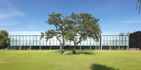 piscine Kibitzenau-vue-exterieure