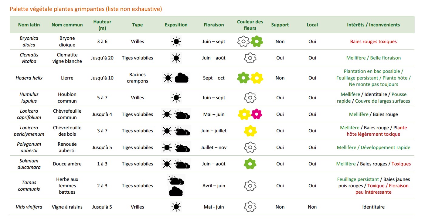 palette végétale plantes grimpantes etamine
