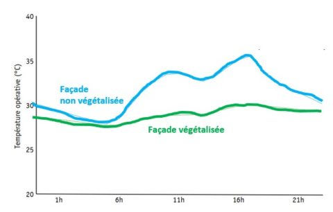 Graphique végétalisation faça