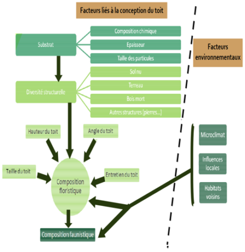 composition floristique des toitures