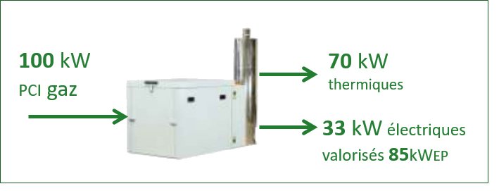 Bilan énergétique de la cogénération