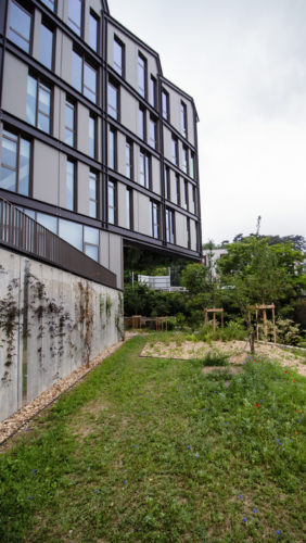 Bureaux S-One à Vaise (69)