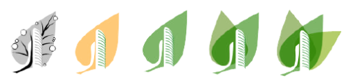 feuilles eco energie tertiaire