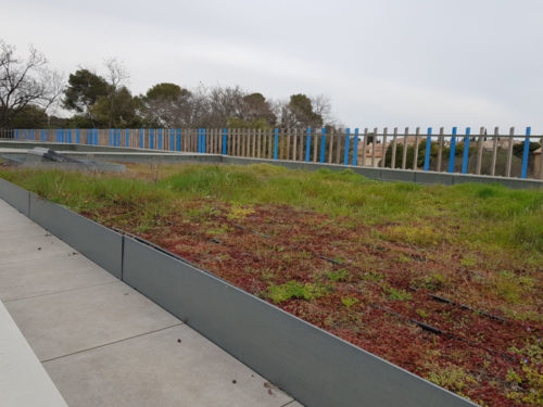 E160347 Réhabilitation et extension du groupe scolaire Jean Moulin à Antibes 5