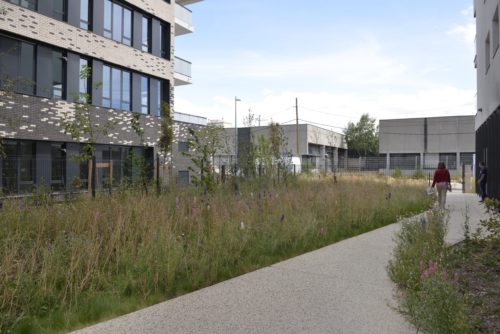 Résidence étudiante Viradonia - Lot C3 ZAC Le Puisoz - Grand Parilly à Vénissieux (69)