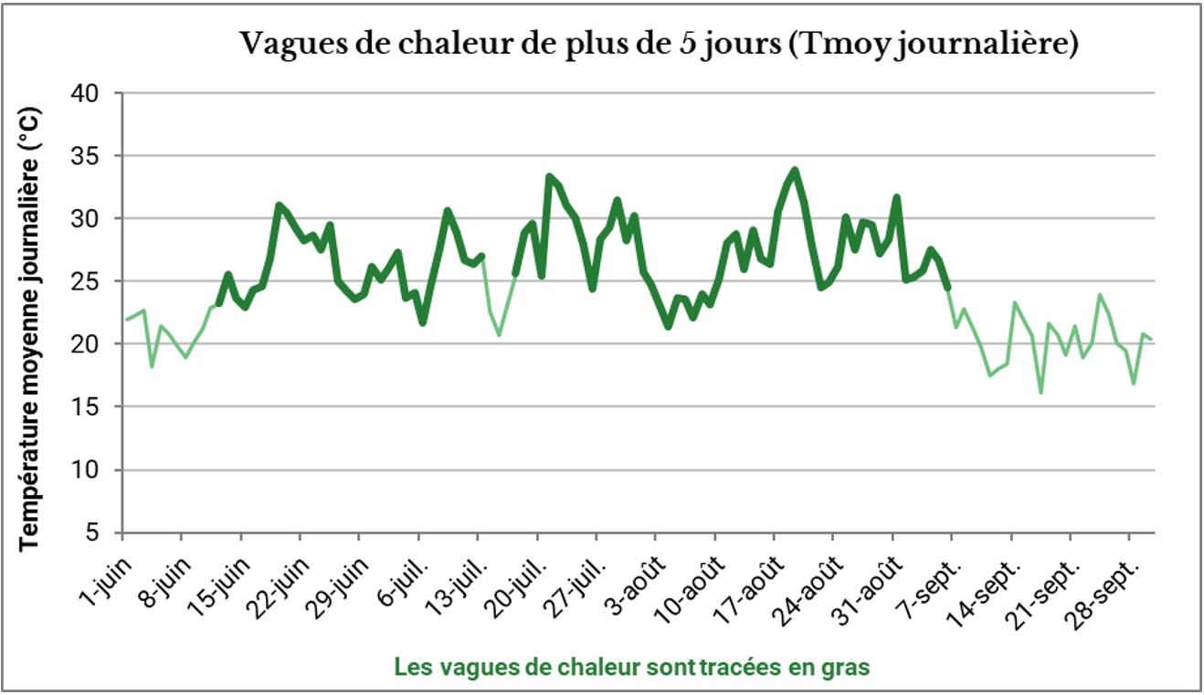 Exemple de détermination des vagues de chaleur. Source : Etamine – Lyon – RCP 4.5 – Horizon 2050 – Maximums estivaux