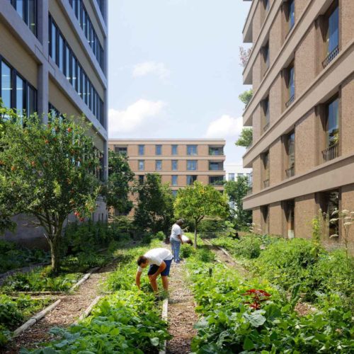 E200594 hlb-p339-saclay-central_jardin-central-2000x2000