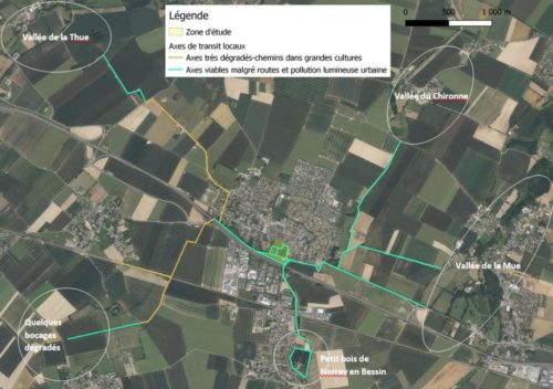 E230631_Coeur de Bourg Bretteville l'Orgueilleaxe_transit_chiros_BE_Léa_D