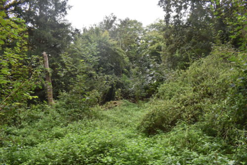 E230631_Coeur de Bourg Bretteville l'Orgueilleuse à Thue-et-Mue Photo hab