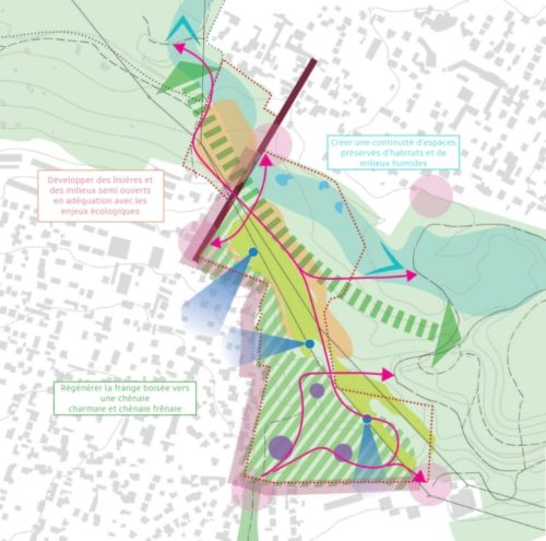 E230100_Parc des Coteaux d'Avron à Neuilly-Plaisance (93) 2