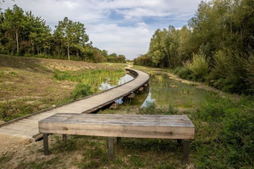 E230100_Parc des coteaux d'avron à Neuilly-Plaisance (93)_4