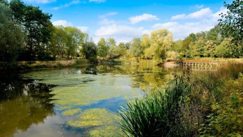 E240382_Parc Tuilerie_dim OK