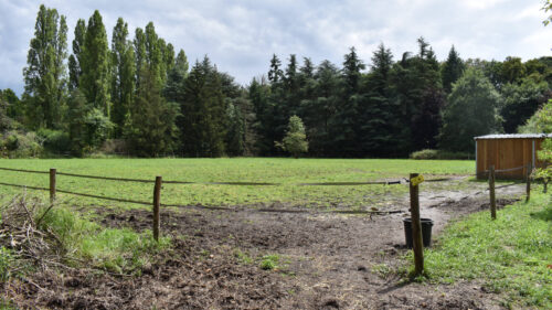 E240436_Diagnostic 4 saisons Bois à Saint-Martin Noisy le Grand (93) dim OK